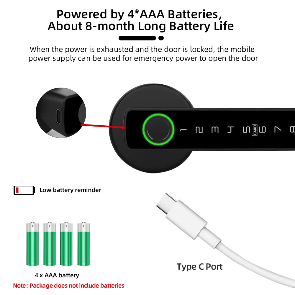 4 in 1 Smart Lockdoor