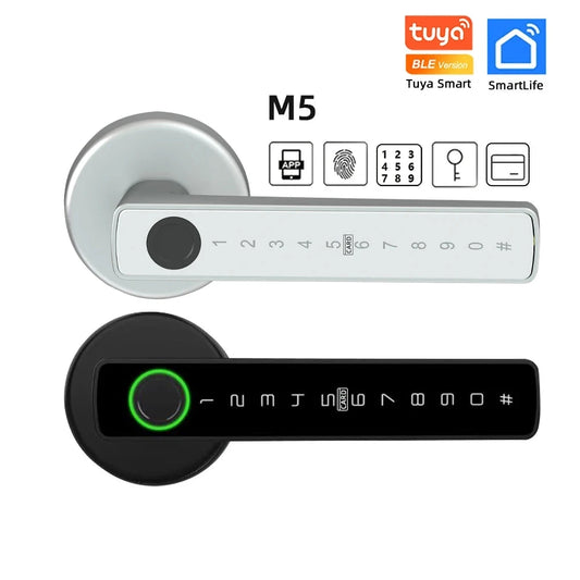 4 in 1 Smart Lockdoor